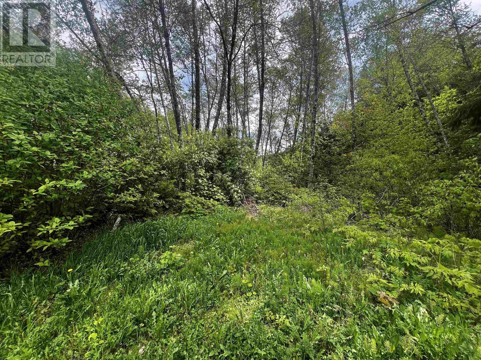 Maple Street, Terrace, BC V8G 3Z3