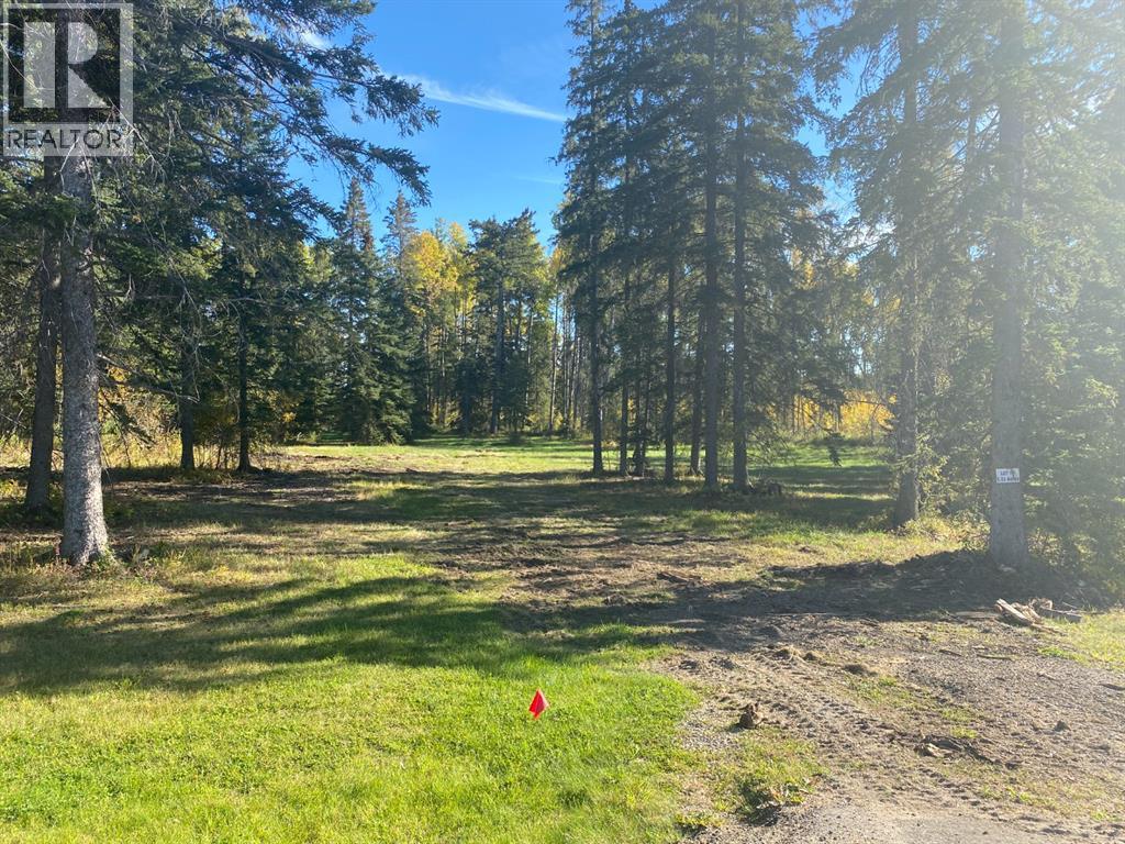 201 High Timber Pl, Rural Clearwater County, AB T4T 1A7