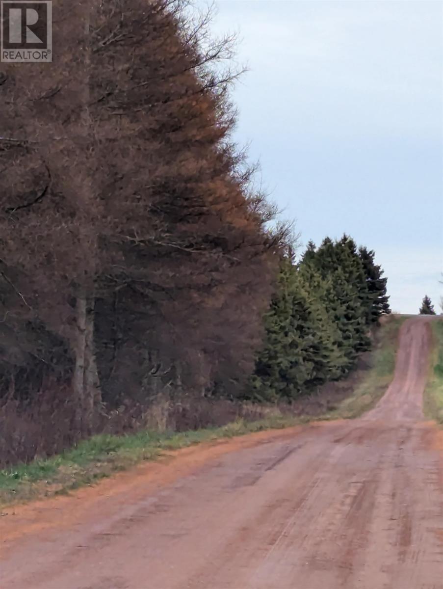 Acreage Jack Eloi Road, St. Chrysostome, PE C0B 1Y0