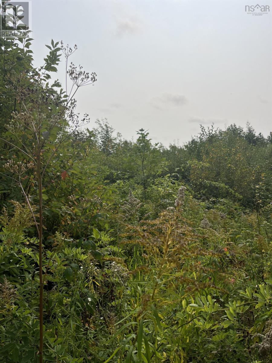 Granville Road, Annapolis Royal, NS B0S 1A0