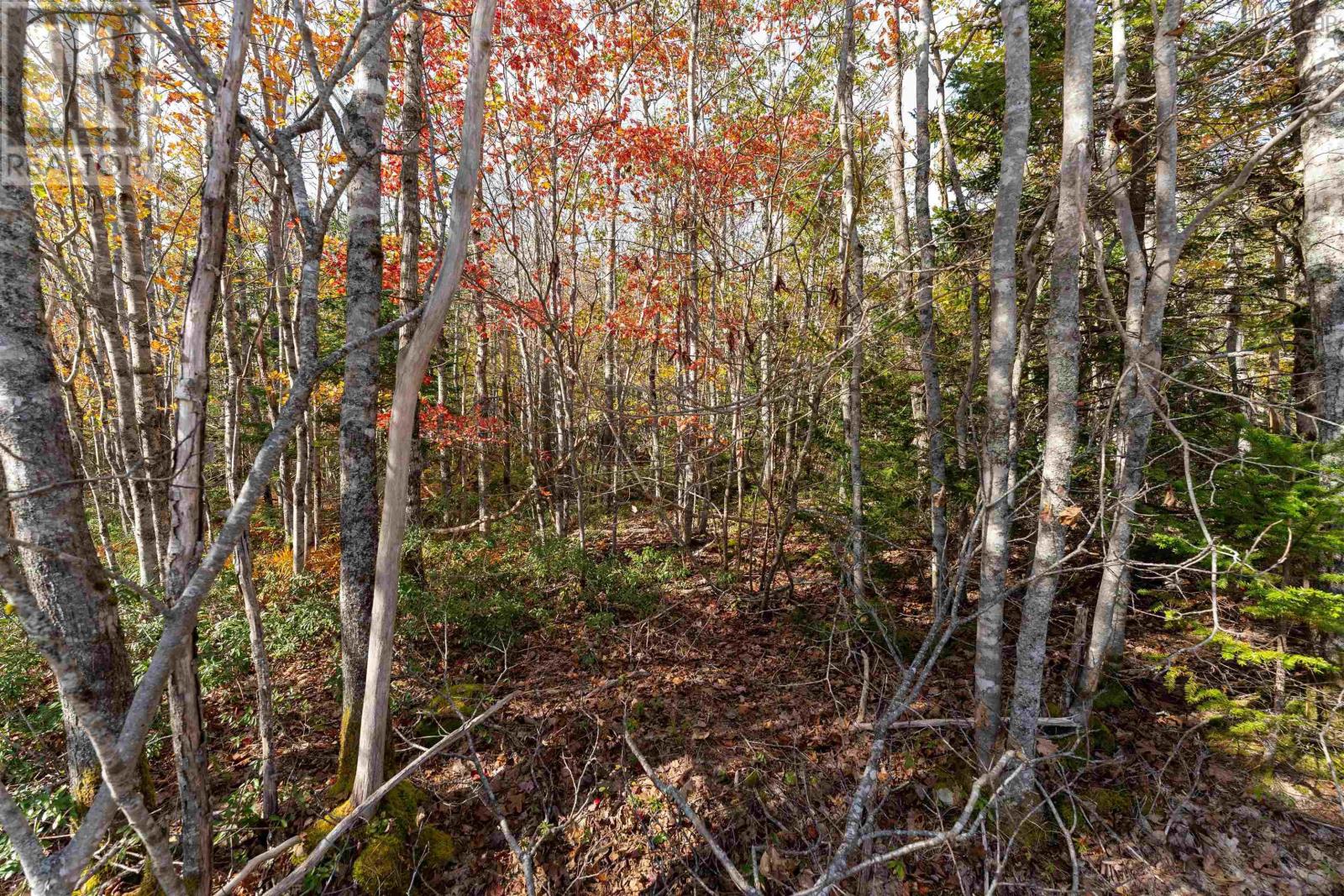 64 Morton Dr, Liverpool, NS B0T 1K0