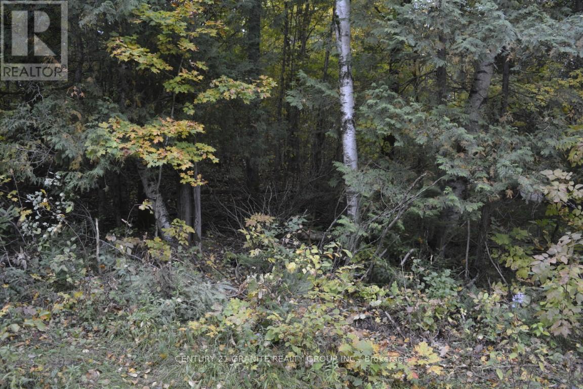 61 Old Hastings Road Rd, Wollaston, ON K0L 1P0