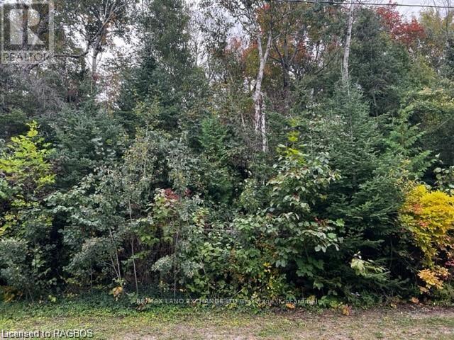 3 Shore Rd, Saugeen Shores, ON N0H 2L0
