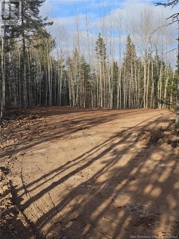 17 Sunset View Lane #04, Cumberland Bay, NB E4A 0A2