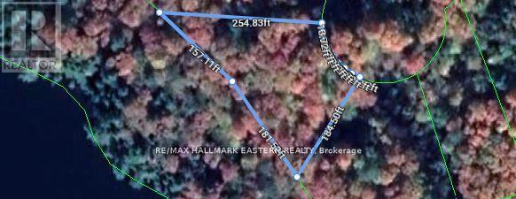 161 Thanet Lake Rd, Marmora And Lake Lake Ward, ON K0L 1P0