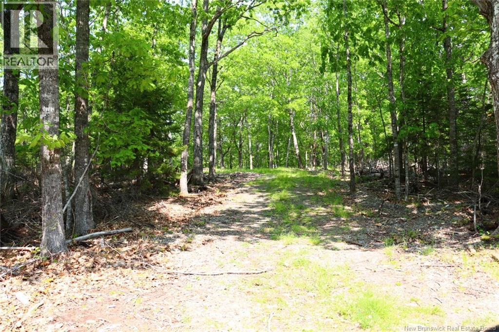 Hills Point Road, St. Stephen, NB E3L 4K5