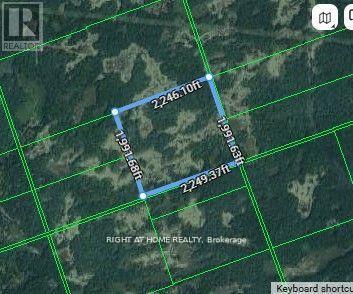0 Flinton Rd E #a, Tweed, ON K0K 3J0