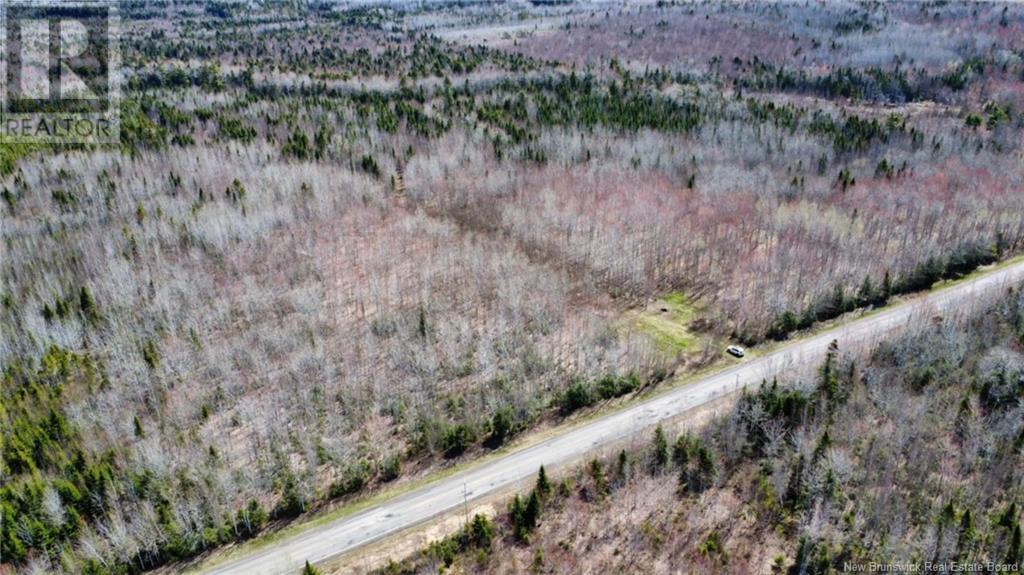 Lot Route 490, Champ Dore, NB E4T 3H3
