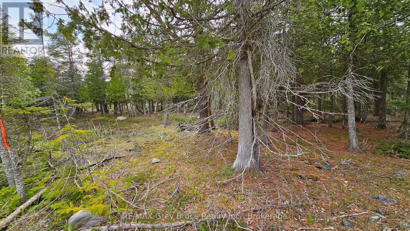 Lt 255 Pedwell Pt Drive, Northern Bruce Peninsula, ON N0H 2R0