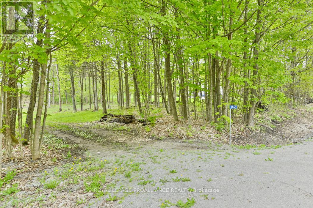 1465 Phillipston Rd, Centre Hastings, ON K0K 2Y0