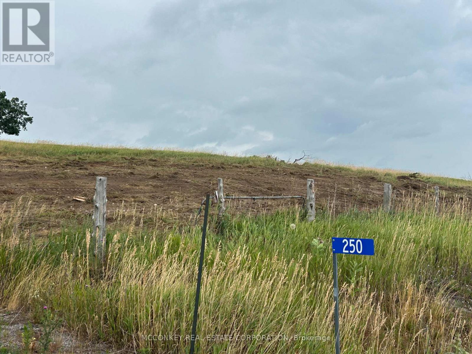 250 Concession Road 13 E, Trent Hills, ON K0L 1Y0