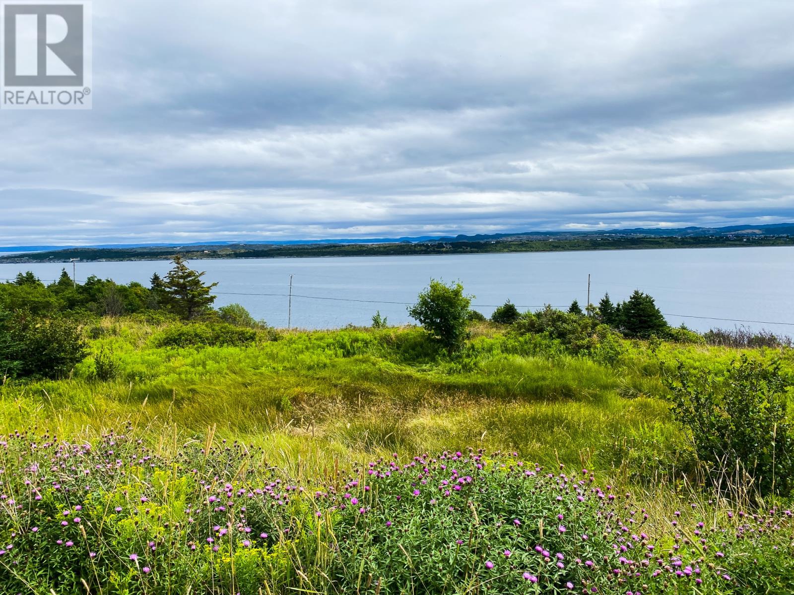 58 Anthonys Rd, Upper Island Cove, NL A0A 4E0