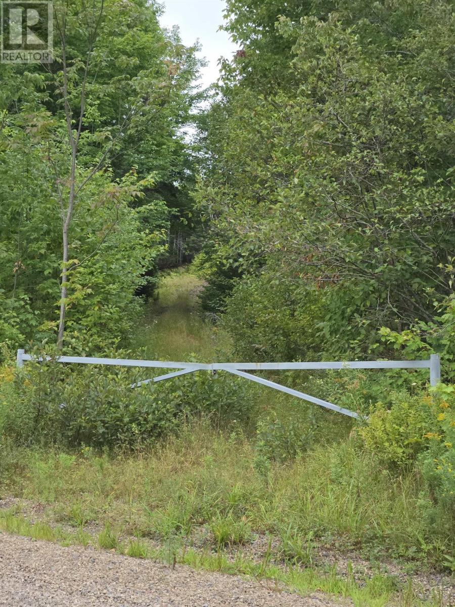 Lot 6 Lochiel Lake Road, South Lochaber, NS B2G 2L3
