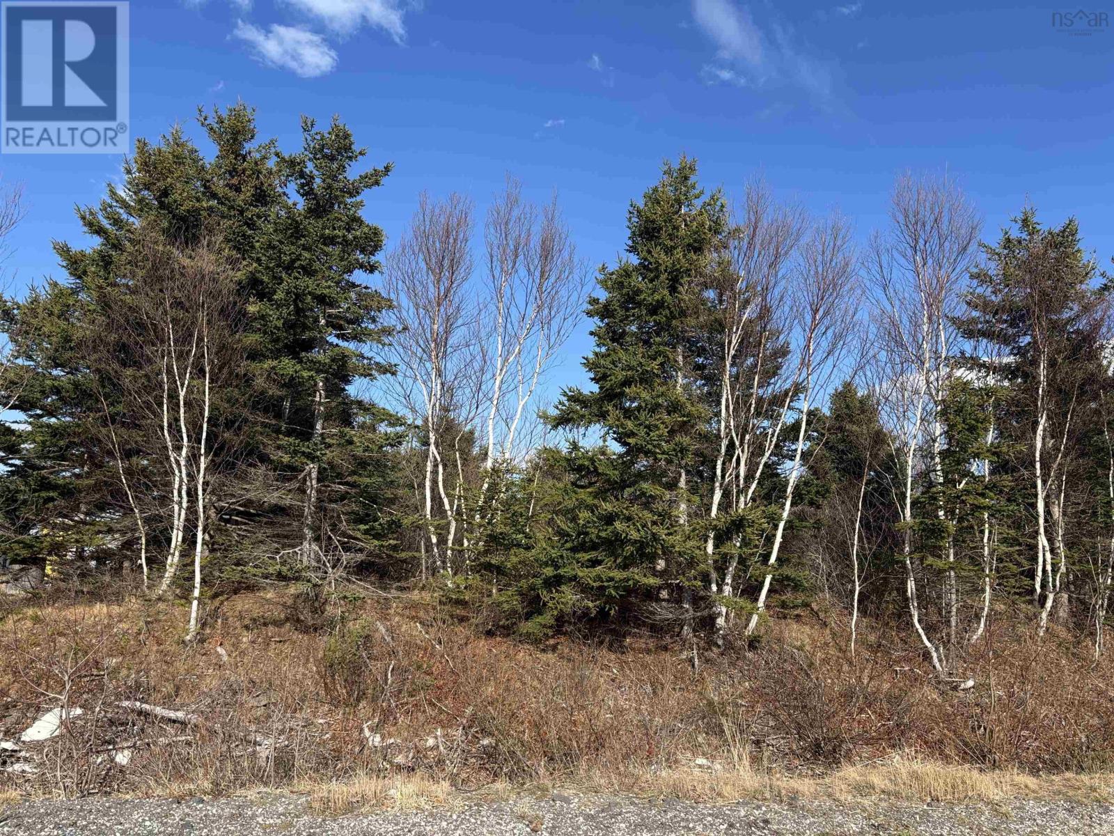 37 Maclellan Dr, Lingan, NS B1H 5G5