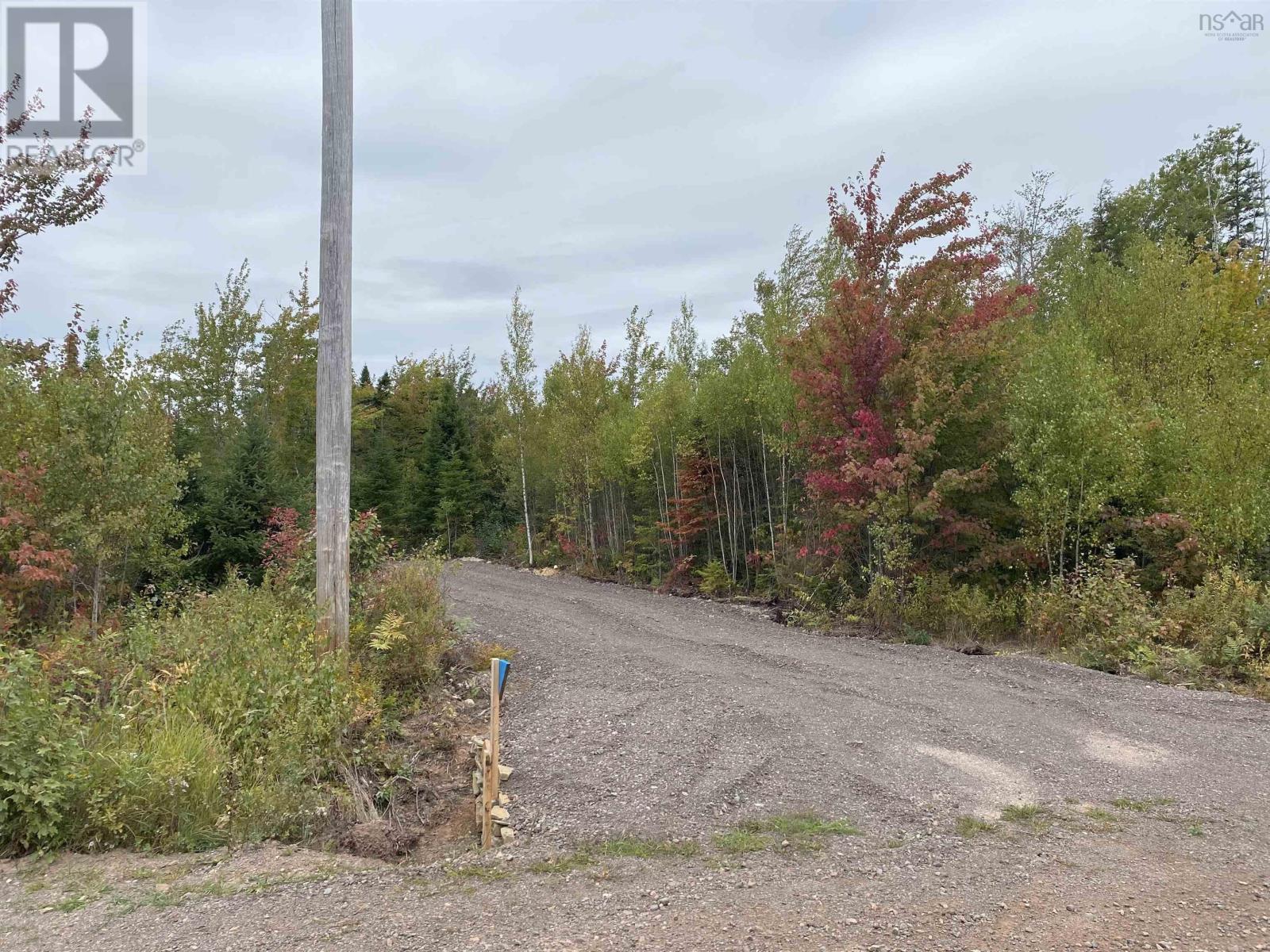 967 College Grant Rd, East Branch, NS B0K 1R0