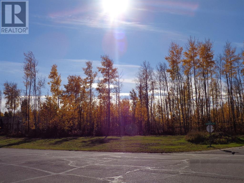 1 Boreal Cres, High Level, AB T0H 1Z0