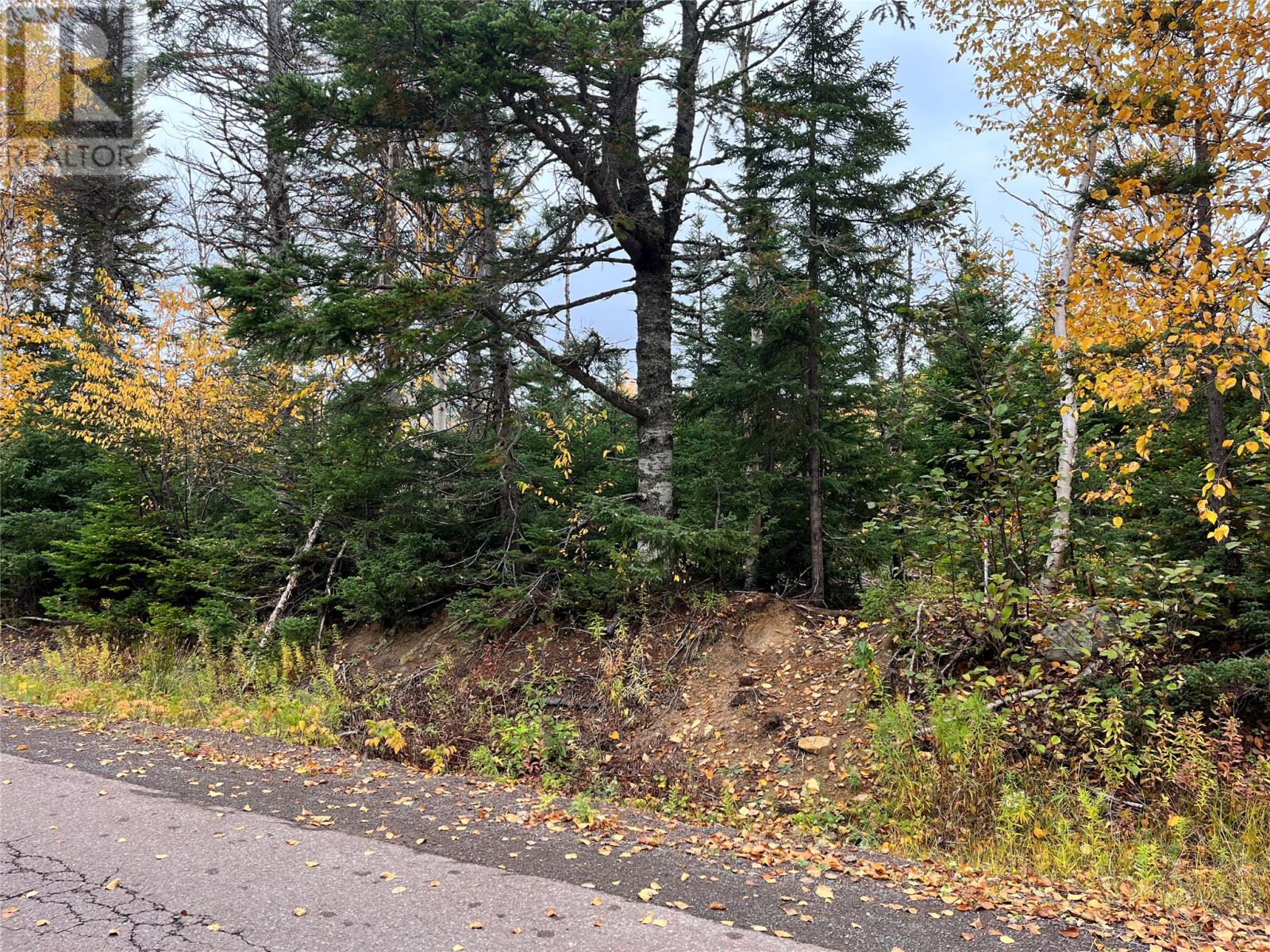 322 Main St, Norris Arm North, NL A0G 3N0