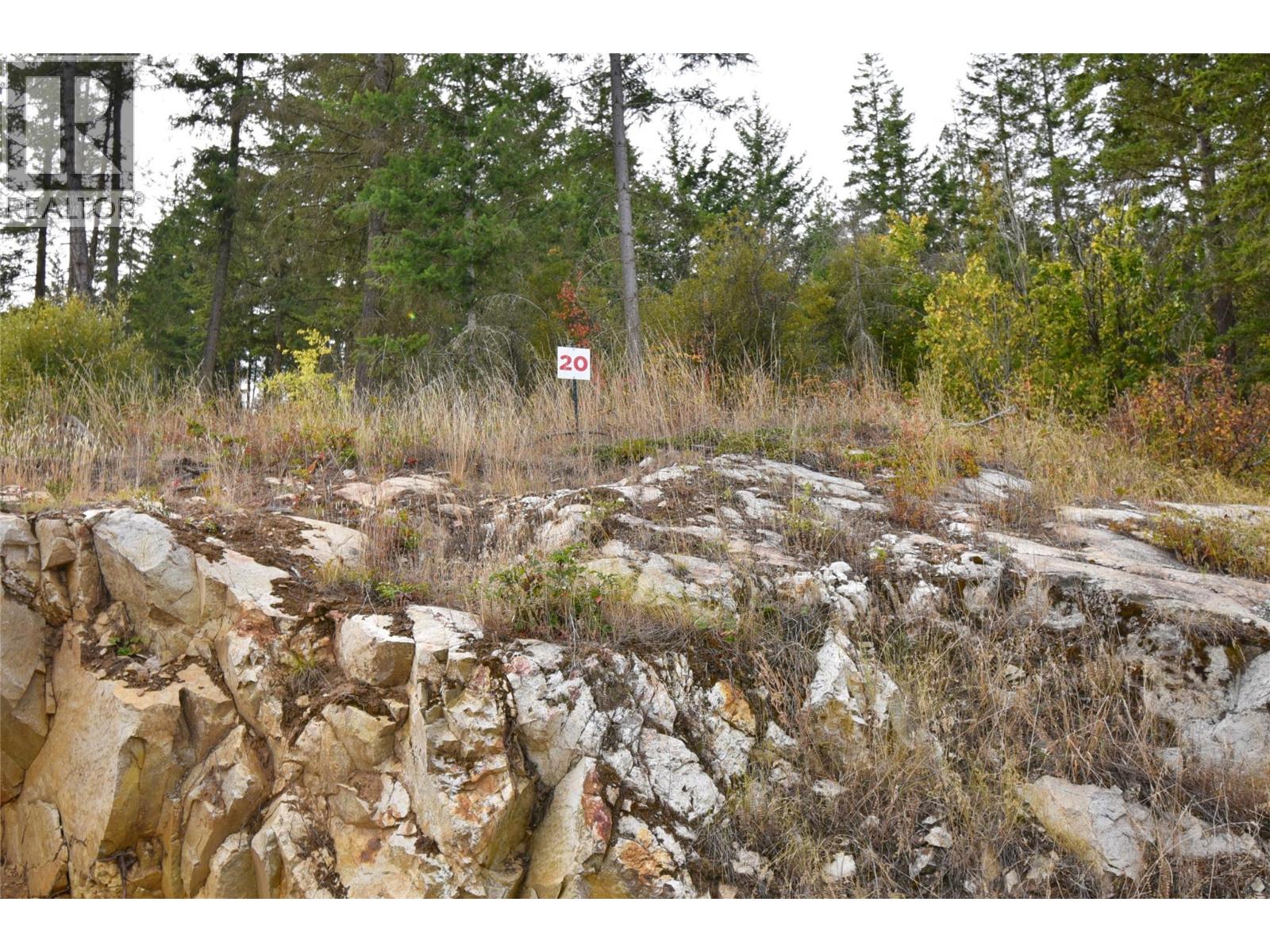 236 Crooked Pine Rd, Enderby, BC V0E 1V1