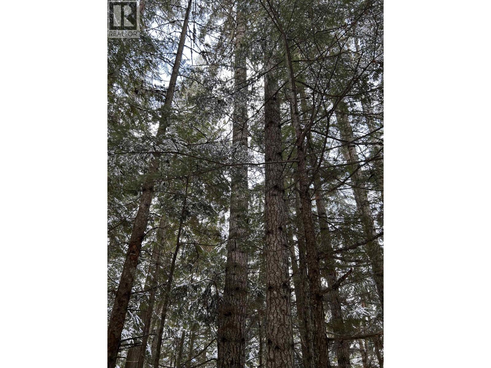 Dl 7054 W 16 Highway, Mcbride, BC V0J 2E0