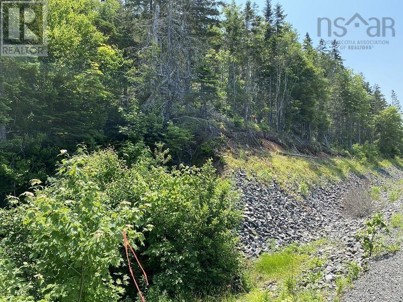 0 Cabot Trl, Tarbot, NS B0E 1B0