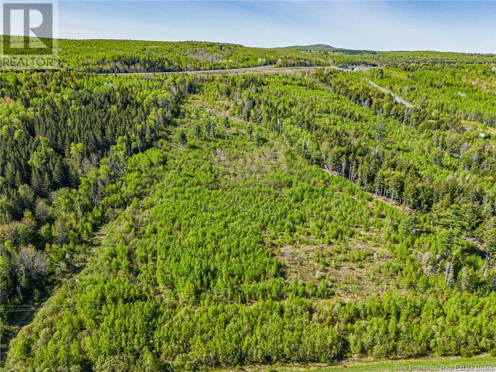 Land Old 2 Highway, Nackawic, NB E6H 1G8