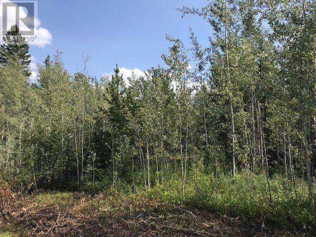 3131 Upper Fraser Road, Prince George, BC V0J 3M0