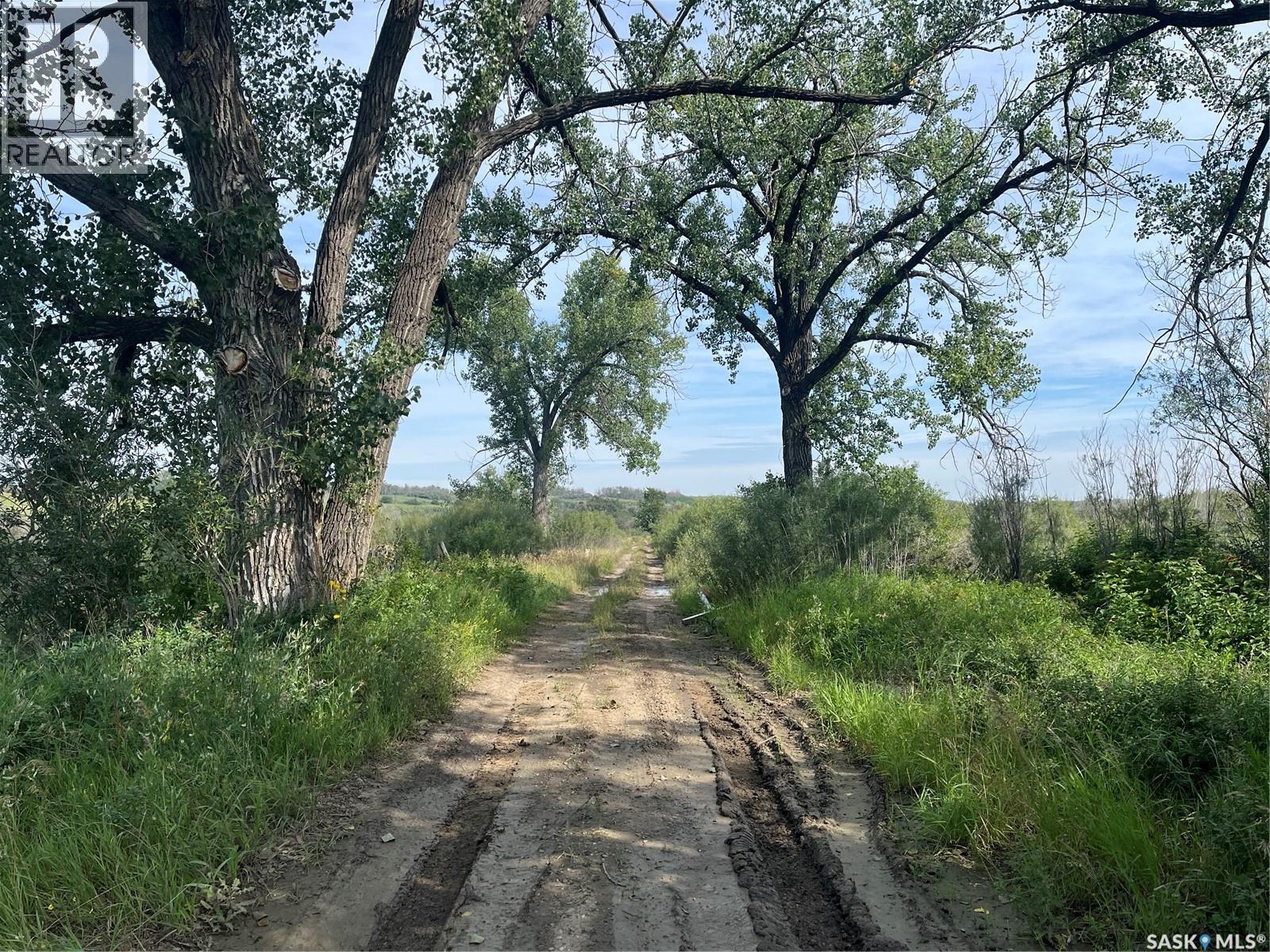 Borden Bridge 143 57 Acres, Great Bend Rm No. 405, SK S0K 0N0