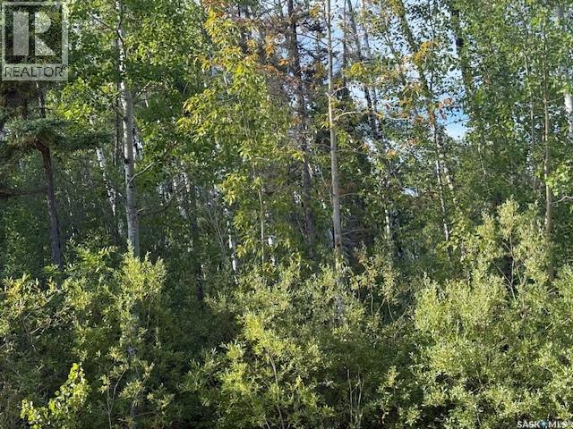 2012 Laronge Ave, La Ronge, SK S0J 1L0