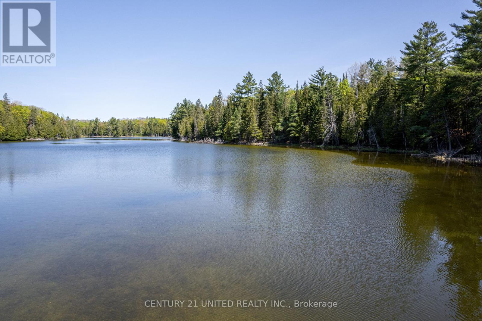 0 Johnson Rd, North Kawartha, ON K0L 1A0