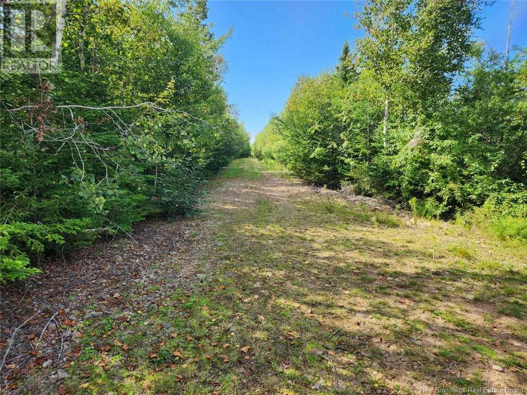 2 Chignecto Ln, Wood Point, NB E4L 0A9
