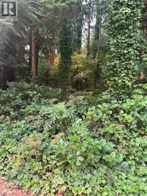 156 Harlech Rd, Qualicum Beach, BC V9K 1G9