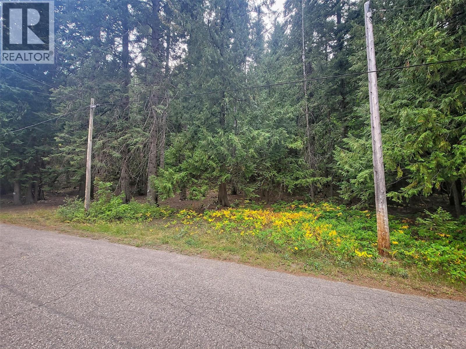 Lot A Maclure Avenue, Salmo, BC V0G 1Z0