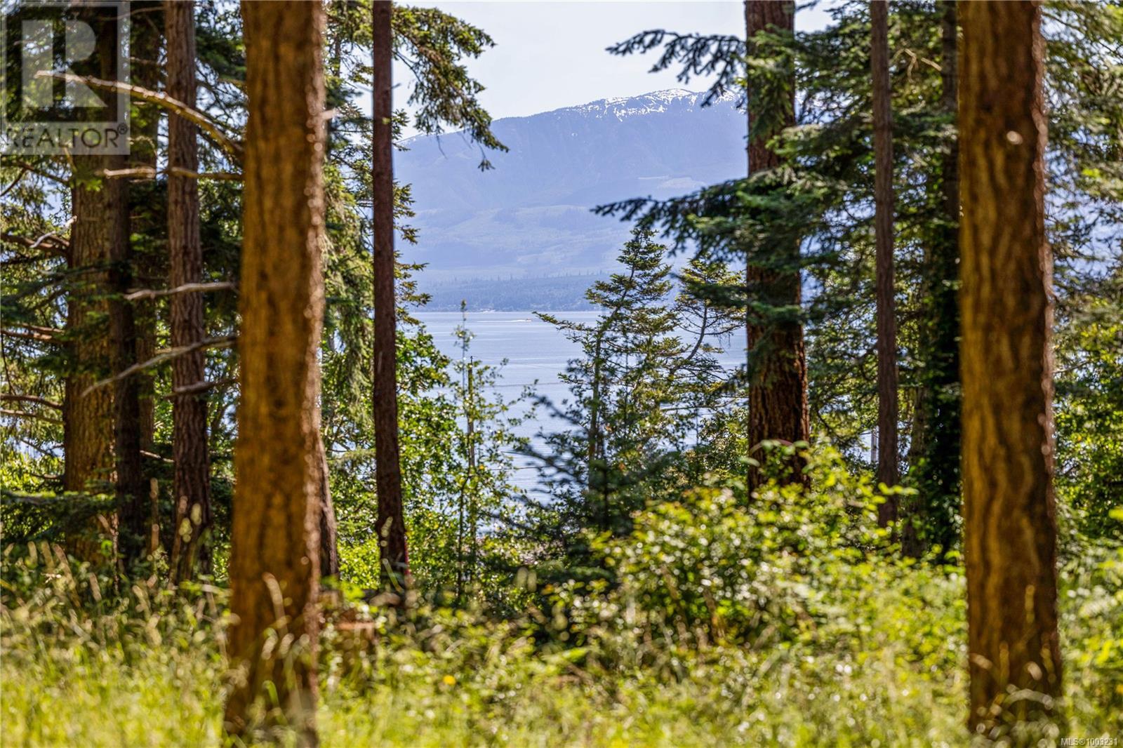 348 Lazo Rd, Comox, BC V9M 3T9