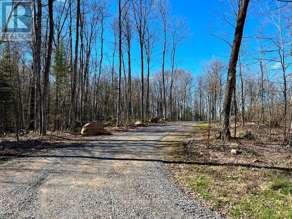1199 Cedar Lake Rd, Highlands East, ON K0L 3C0
