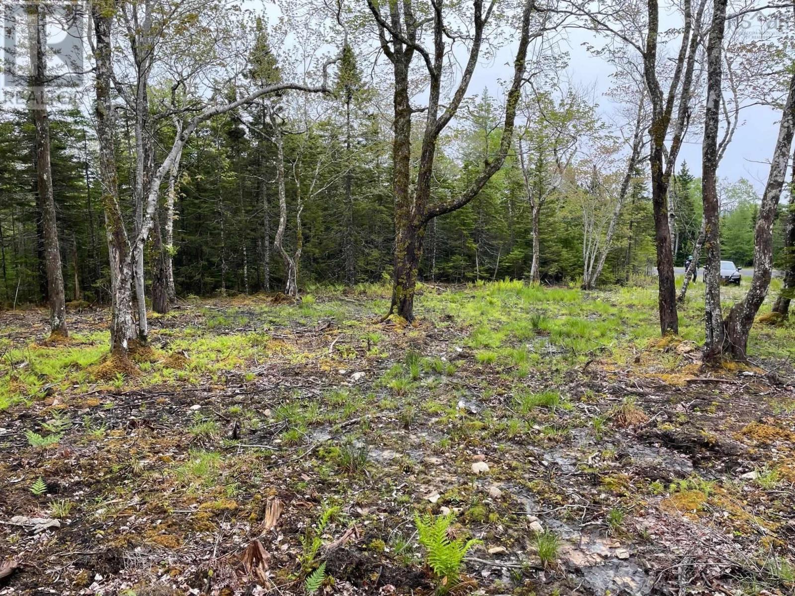 Lot 1a-81 Maple Drive, Cape George Estates, NS B0E 3B0