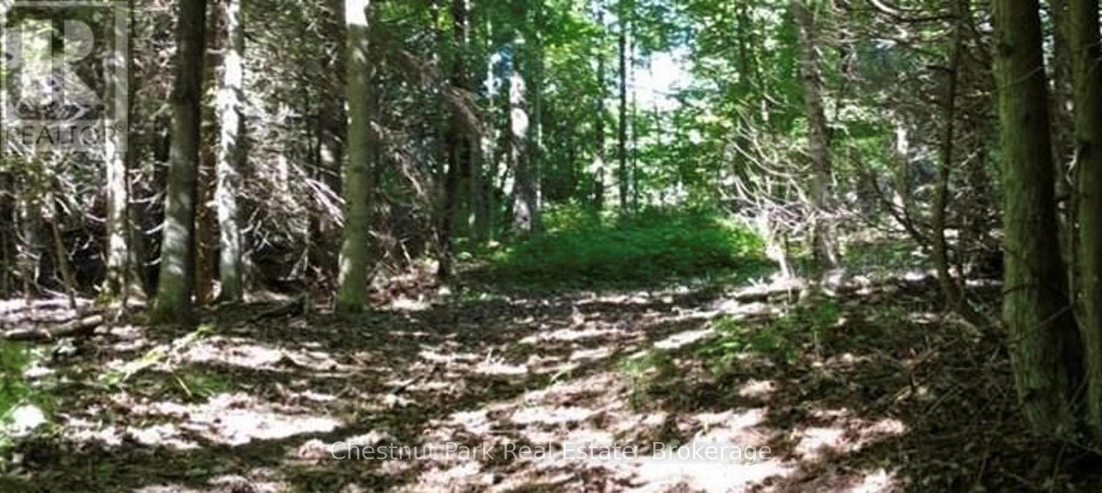 11 Concession 4, Northern Bruce Peninsula, ON N0H 1W0