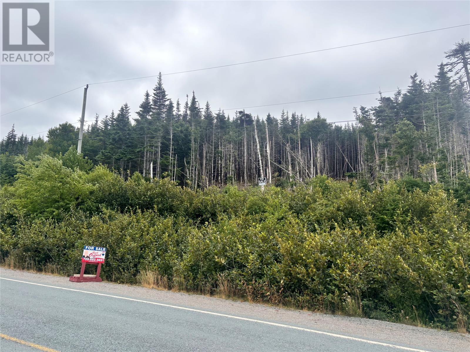 Lot 13 Main Highway, Ferryland, NL A0A 2H0