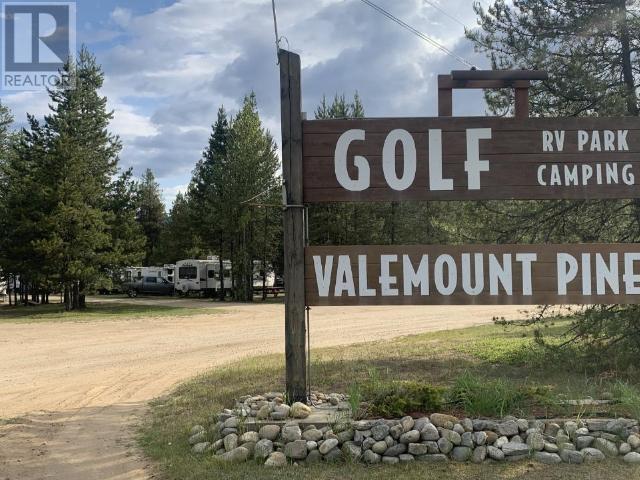 1125 N 5 Hwy, Valemount, BC V0E 2Z0