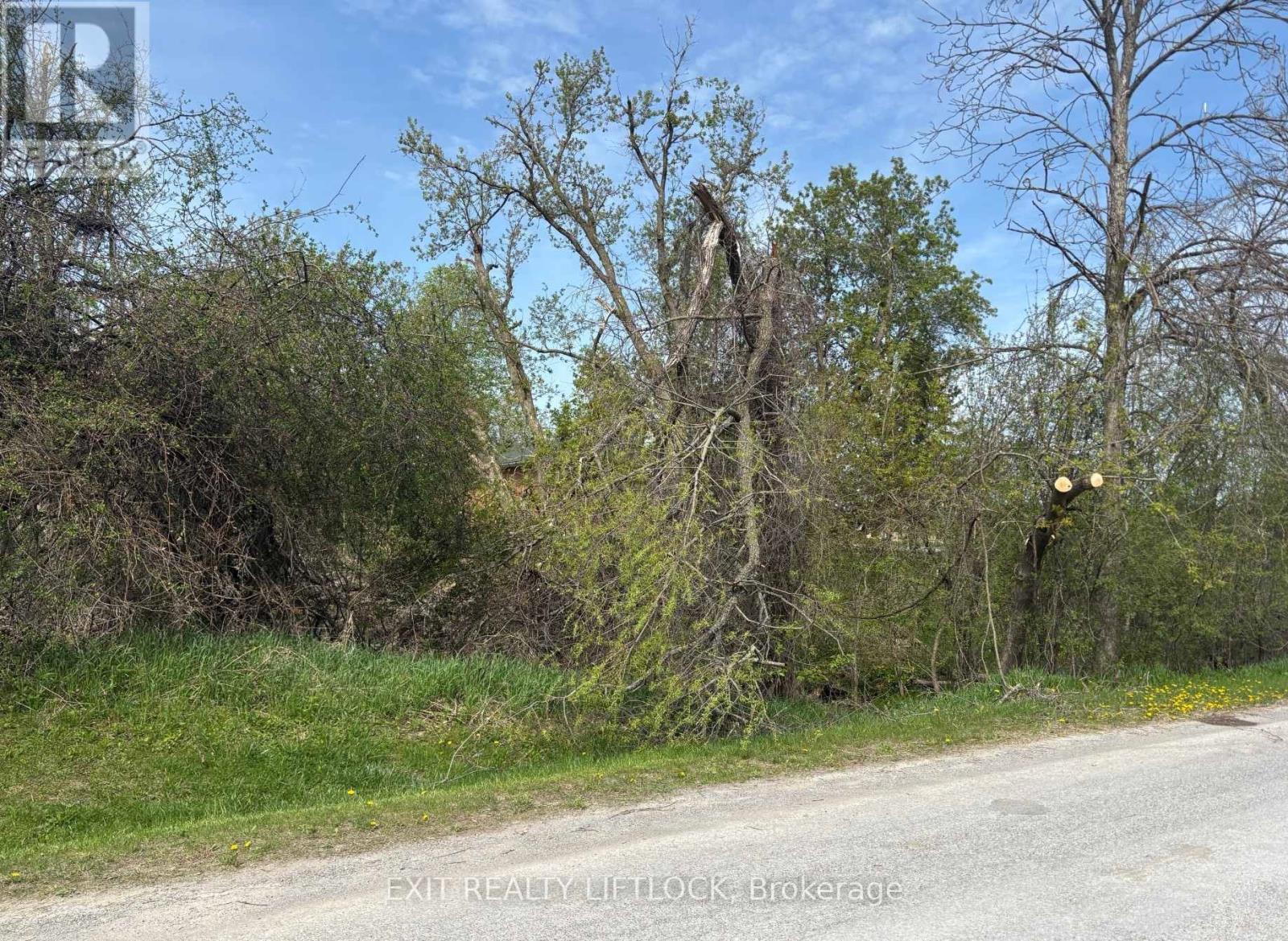 0 Maple Ridge Dr, Kawartha Lakes Emily, ON K0L 2W0