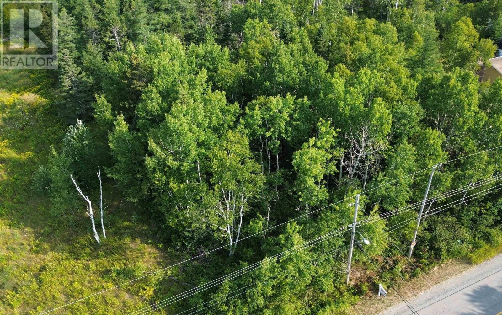 10 Lingan Rd, River Ryan, NS B1H 5S2