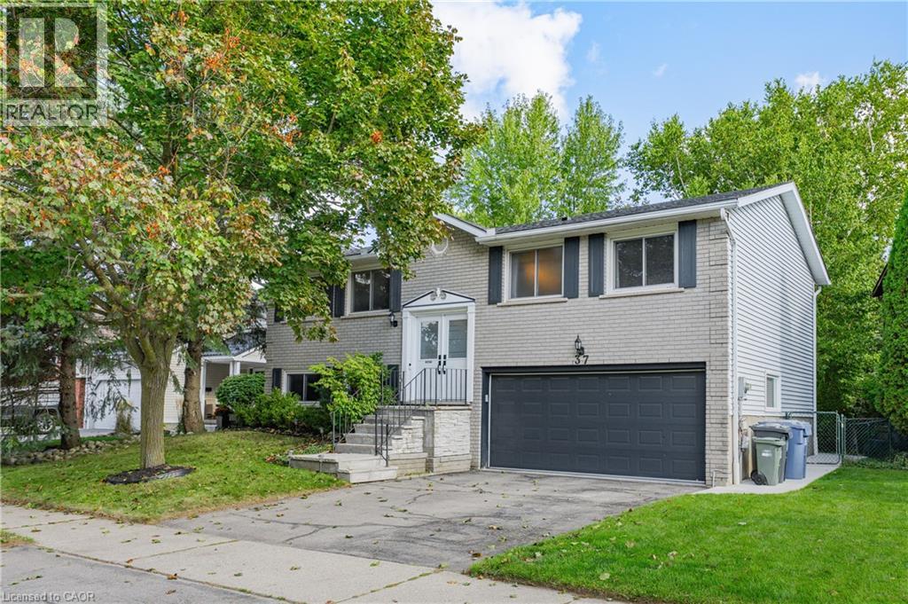 37 Thornhill Dr, Guelph, ON N1H 8B6