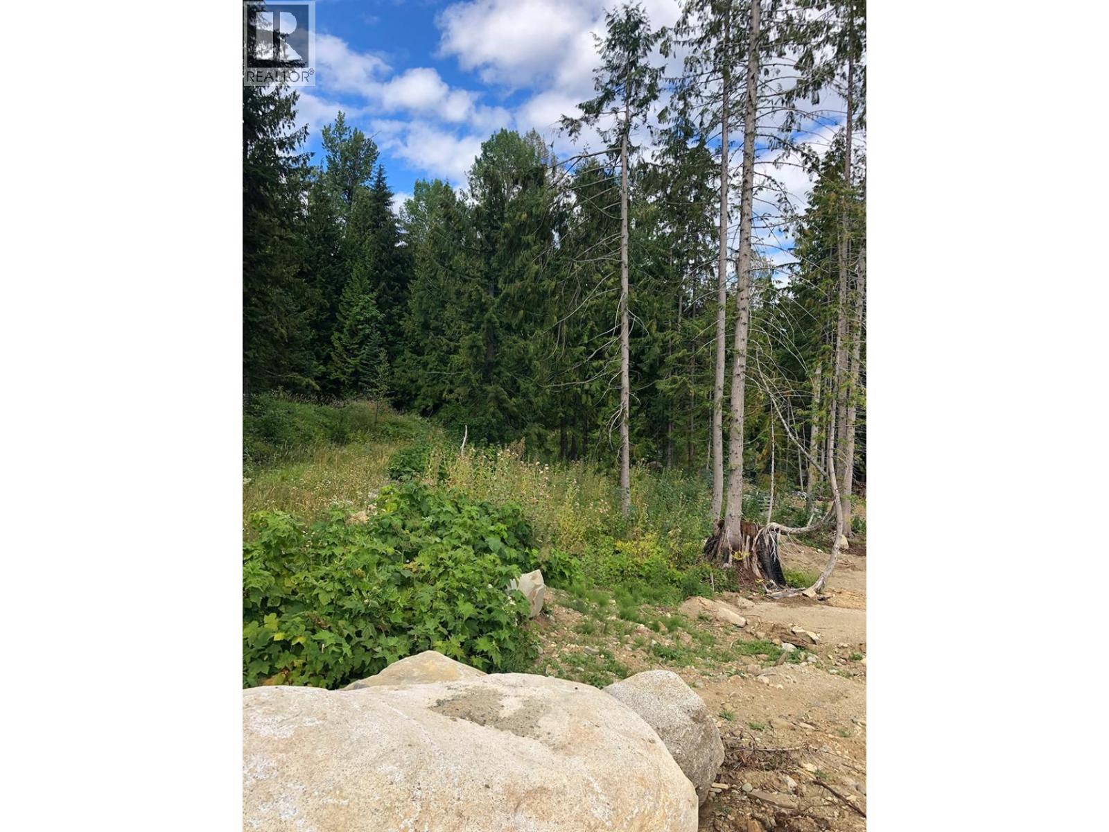311 Ridge Rd, Rossland, BC V0G 1Y0