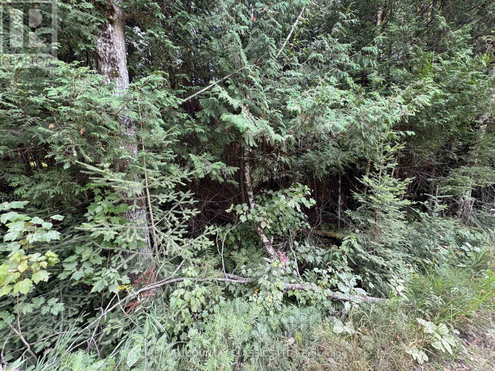 0 Schimmens Rd, Brudenell Lyndoch And Raglan, ON K0J 2E0