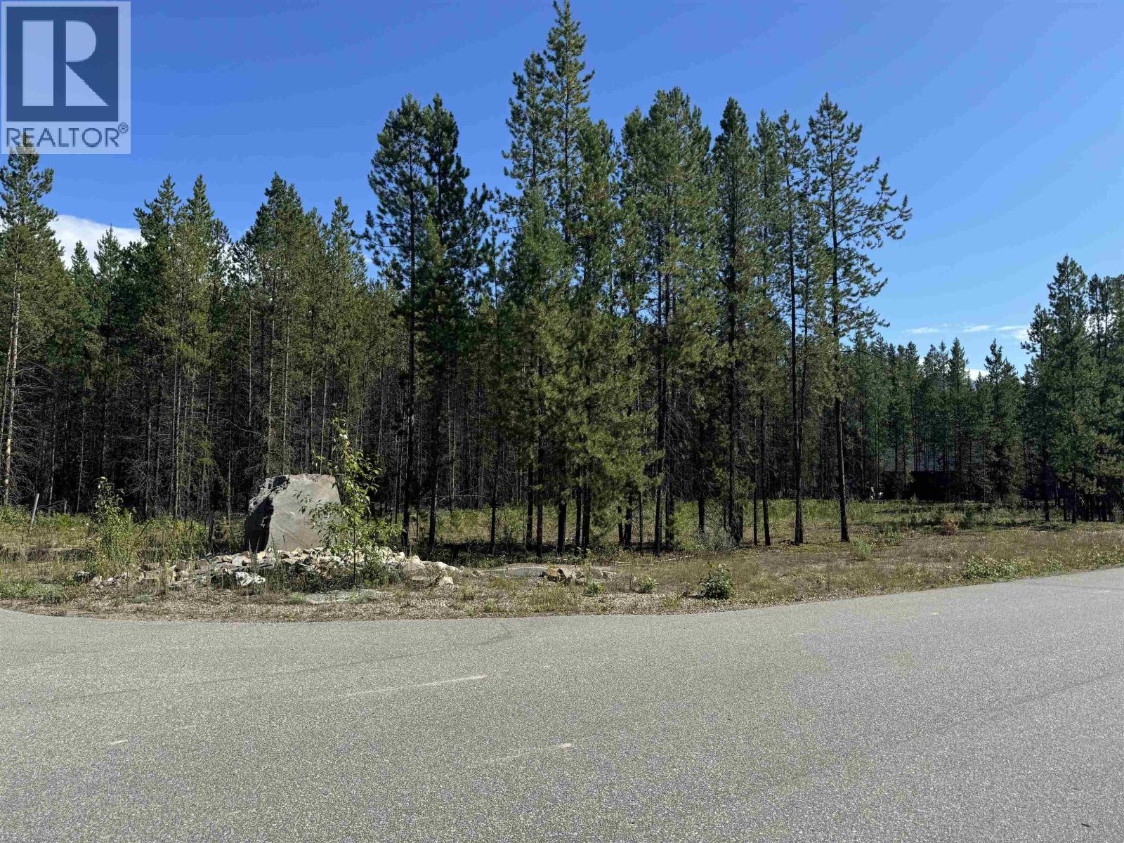 1295 Fowler Pl, Valemount, BC V0E 2Z0