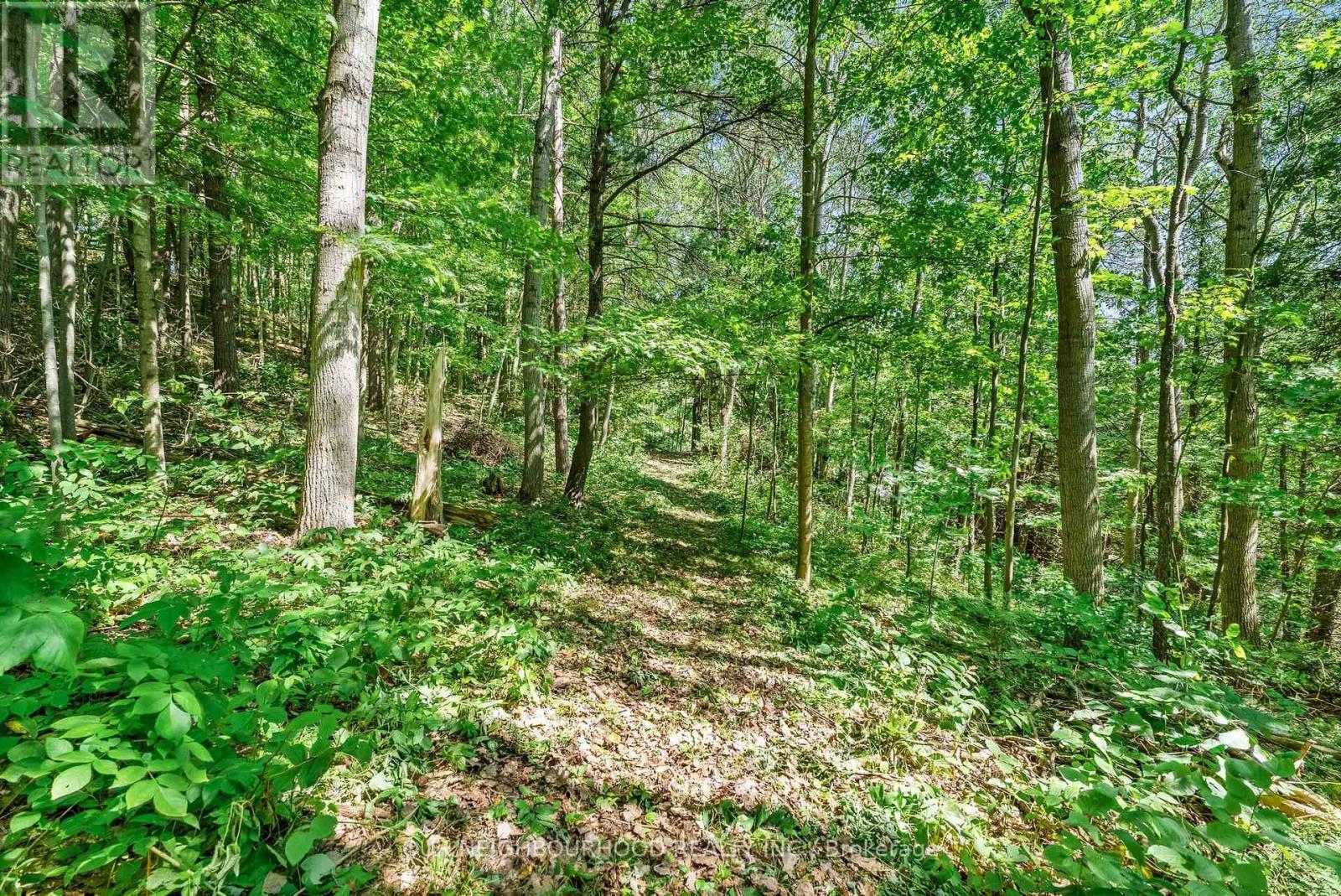 0 Shelter Valley Rd, Alnwickhaldimand Grafton, ON K0K 2G0
