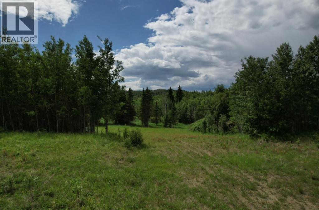 19 Mountain Spgs, Rural Woodlands County, AB T7S 1N3