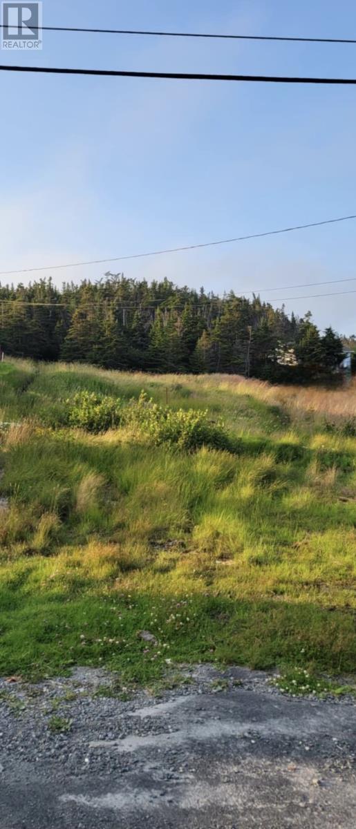 48 Old Settlement Hl, Freshwater Placentia, NL A0B 1W0