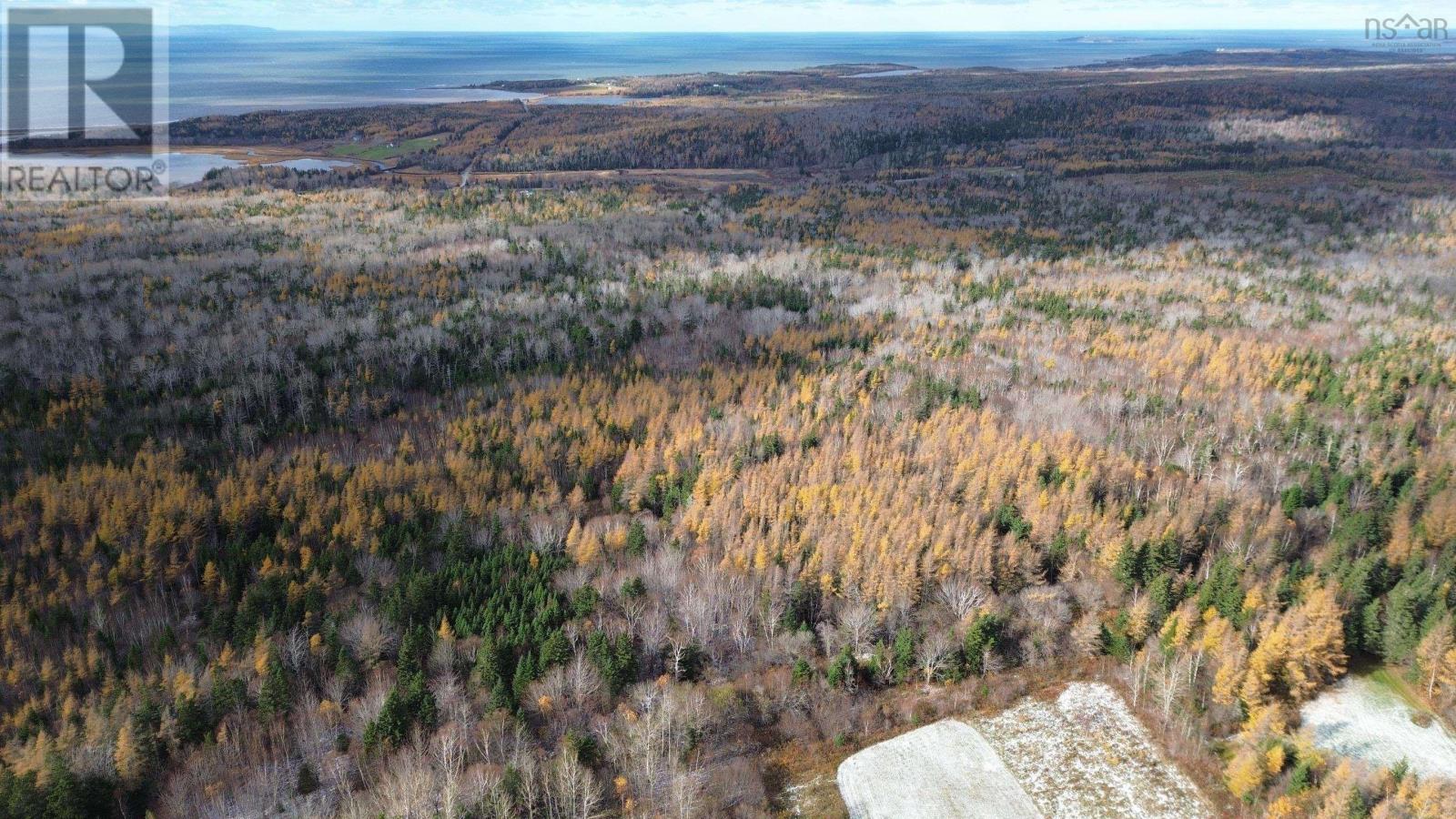 Acreage Mill Brook Road, Judique North, NS B0E 1P0