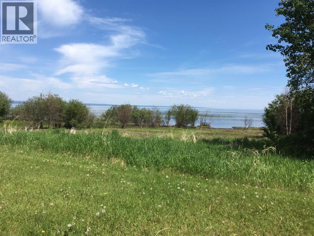 19 Peace River Ave #1, Joussard, AB T0G 1J0
