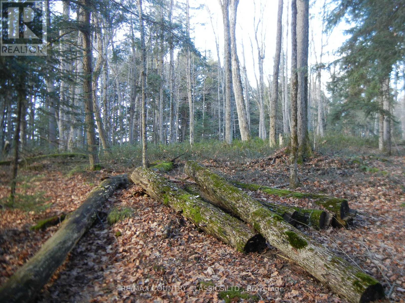 0 Knox Point Rd, North Kawartha, ON K0L 1A0
